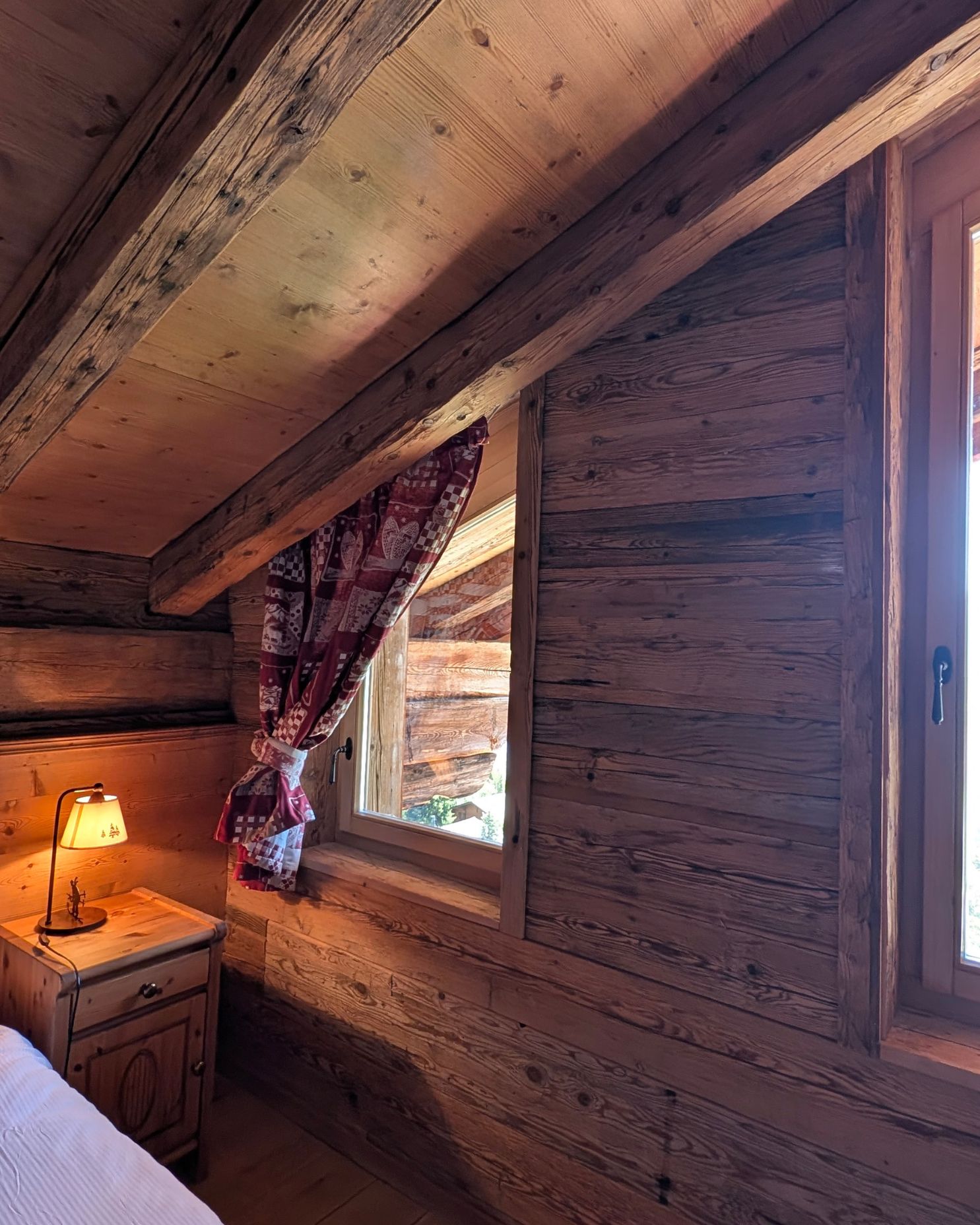 Pimprenelle cozyalpine (6)