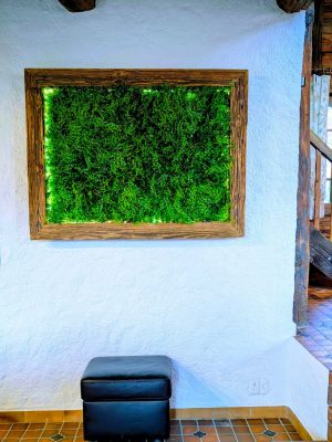 Chalet CozyAlpine (5)
